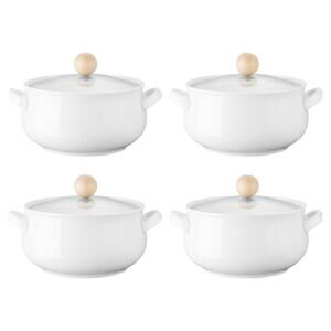 ALELION Small French Onion Soup Bowls, 16 OZ Crocks with Lids
